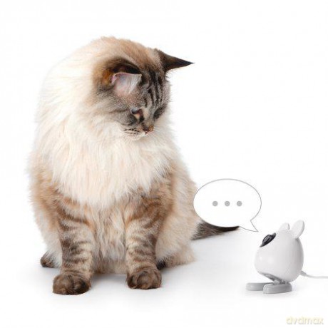 CATIT PIXI Smart Camera 7x12cm