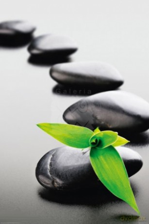 Kamienie - Zen Stones - Green [PLAKAT]