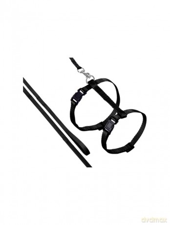 Flamingo Ziggi Cat harness with line Black