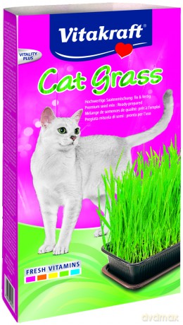 Vitakraft Cat Grass 120g