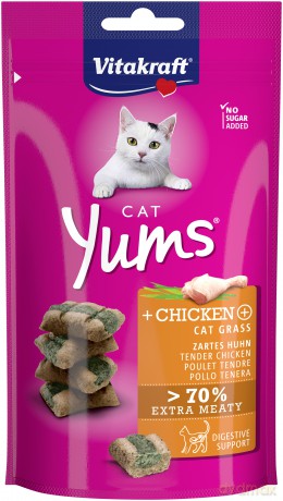 Vitakraft Cat Yums with chicken and Cat Grass