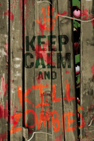Keep Calm Kill Zombies [PLAKAT]