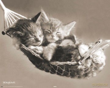 Keith Kimberlin - Hammock [PLAKAT]