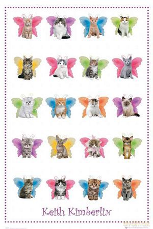 Keith Kimberlin Cat Wings [PLAKAT]