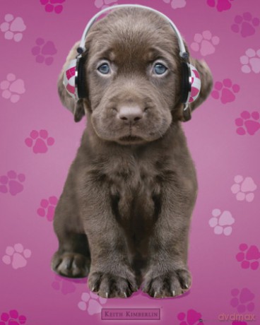 Keith Kimberlin Chocolate Labs Headphones [PLAKAT]