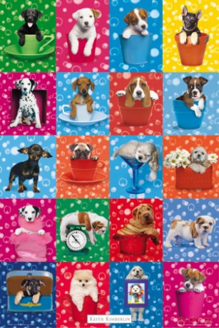 Keith Kimberlin Dog Collage [PLAKAT]