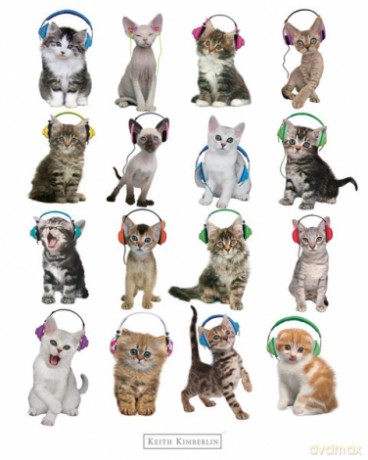 Keith Kimberlin Kitten Headphones [PLAKAT]