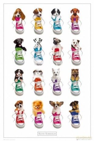 Keith Kimberlin Sneakers [PLAKAT]
