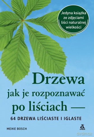 Drzewa - jak je rozpoznawać po liściach - Meike Bosch [KSIĄŻKA]