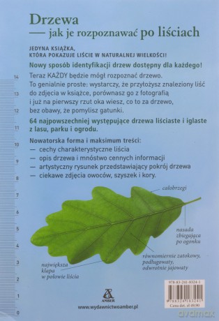 Drzewa - jak je rozpoznawać po liściach - Meike Bosch [KSIĄŻKA]
