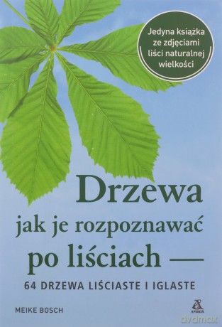 Drzewa - jak je rozpoznawać po liściach - Meike Bosch [KSIĄŻKA]