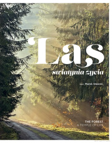 Las. Świątynia życia [KSIĄŻKA]