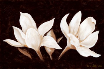 Kwiat Magnolii [PLAKAT]