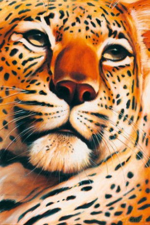 Leopard [PLAKAT]