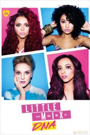 Little Mix Dna [PLAKAT]