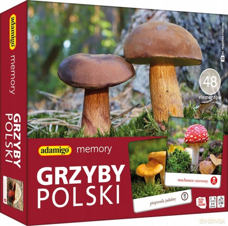 Gra planszowa Memory Grzyby Polski Gra Pamięciowa Pamięć Adamigo Memo Adamigo