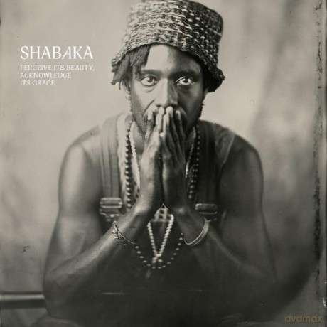Shabaka: Perceive Its Beauty, Acknowledge Its Grace [Winyl]