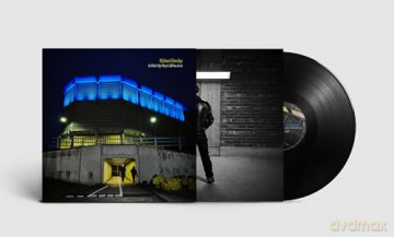 Richard Hawley: In This City They Call You Love [Winyl]
