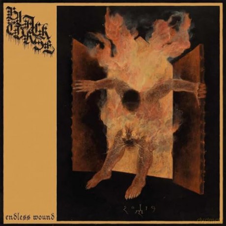 Black Curse: Endless Wound (digipack) [CD]