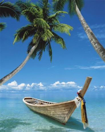 dka Na Rajskiej Plaży [PLAKAT]