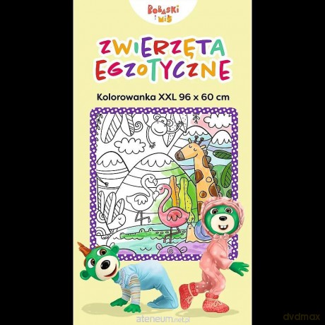 Kolorowanka XXL. Zwierzęta egzotyczne [KSIĄŻKA]
