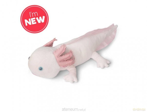 Pluszowy Axolotl