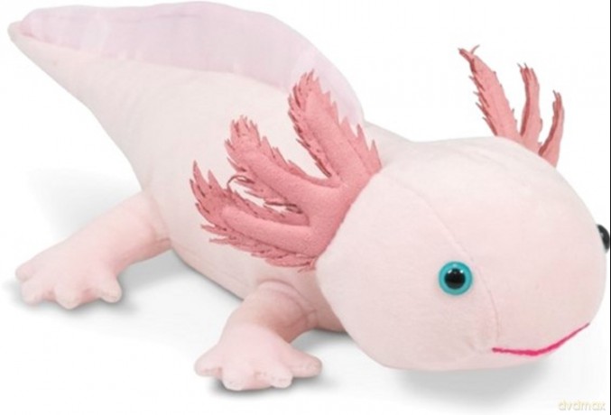Pluszowy Axolotl