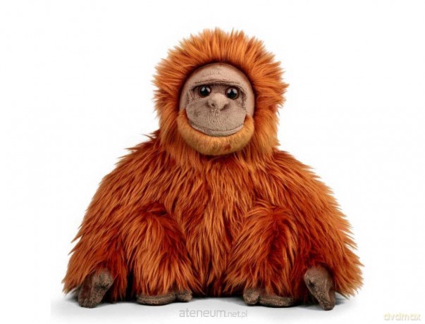 Pluszowy orangutan