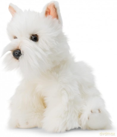 Pluszowy Westie