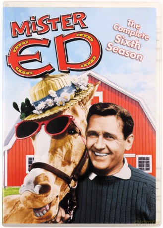 Mister Ed: Season 1-6 (Ed - koń, który mówi) [BOX] [22DVD]