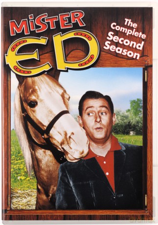 Mister Ed: Season 1-6 (Ed - koń, który mówi) [BOX] [22DVD]