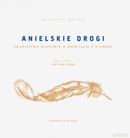 Anielskie drogi. Prawdziwe historie o gościach z niebios - Joan Wester Anderson [KSIĄŻKA]