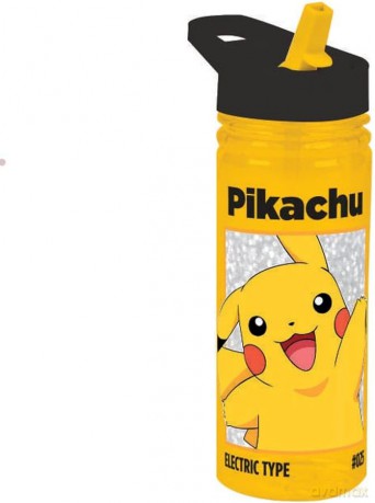 Bidon 600ml Pokemon