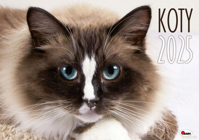 Kalendarz 2025 albumowy Koty [KALENDARZ]