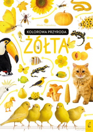 Kolorowa przyroda. Żółta. Młodzi przyrodnicy - Patrycja Zarawska [KSIĄŻKA]