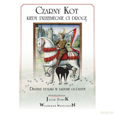 Czarny Kot Kiedy przebiegnie ci drogę - Jacek Żurek, Waldemar Wasyliszyn [KSIĄŻKA]