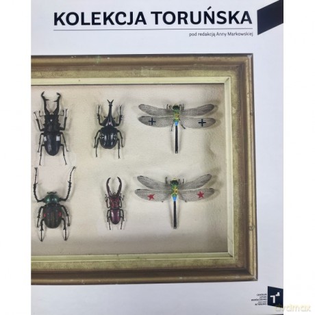 Kolekcja Toruńska Zbiory Centrum Sztuki Współczesnej Znaki Czasu w Toruniu [KSIĄŻKA]