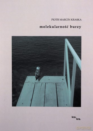 Molekularność burzy - Piotr Marcin Kraska [KSIĄŻKA]