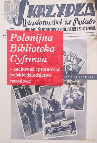 Polonijna biblioteka cyfrowa - zachować i promować polskie dziedzictwo narodowe [KSIĄŻKA]