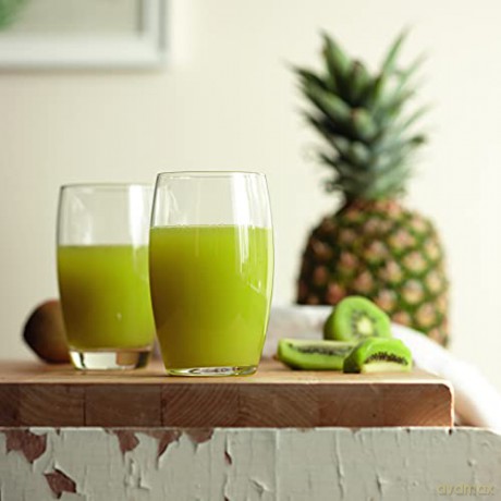 Philips - Viva Collection Juicer - HR1855/70