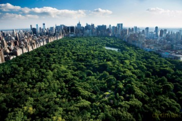 Nowy Jork - Central Park [PLAKAT]