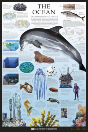 Ocean - Dorling Kindersley [PLAKAT]