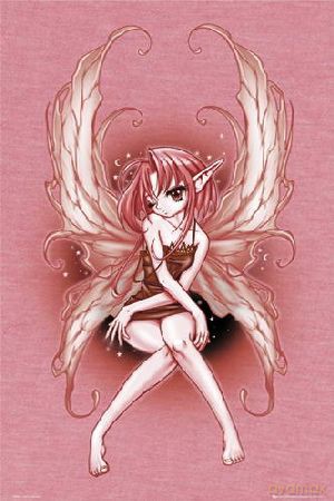 Odm Rose Fairy [PLAKAT]