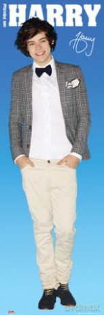 One Direction Harry [PLAKAT]