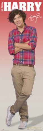 One Direction Harry 2012 (Global) [PLAKAT]