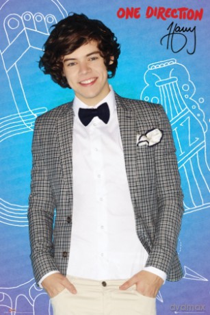 One Direction Harry Pop [PLAKAT]