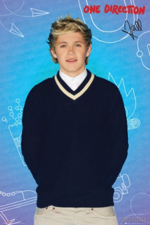 One Direction Niall Pop [PLAKAT]