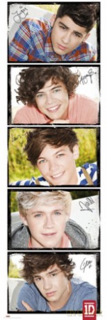 One Direction Solo's (Global) [PLAKAT]