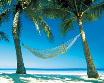 Paradise [PLAKAT]