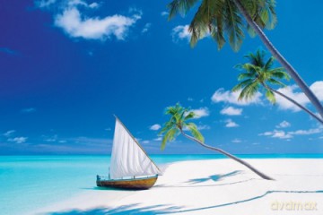 Paradise Found [PLAKAT]